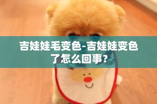吉娃娃毛變色-吉娃娃變色了怎么回事？
