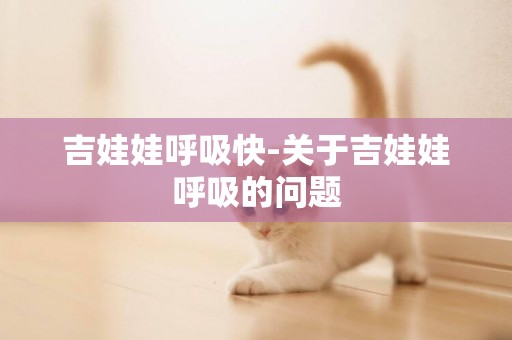 吉娃娃呼吸快-關于吉娃娃呼吸的問題