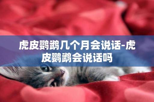 虎皮鸚鵡幾個月會說話-虎皮鸚鵡會說話嗎