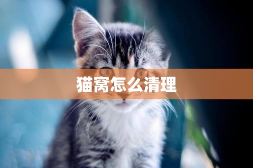 貓窩怎么清理