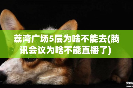 荔灣廣場5層為啥不能去(騰訊會議為啥不能直播了) 