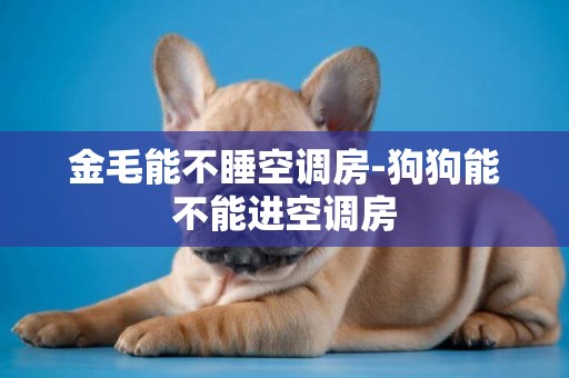 金毛能不睡空調房-狗狗能不能進空調房