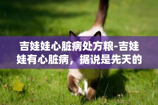 吉娃娃心臟病處方糧-吉娃娃有心臟病，據說是先天的，因為蛔蟲卵隨血液進入心臟，怎么治療