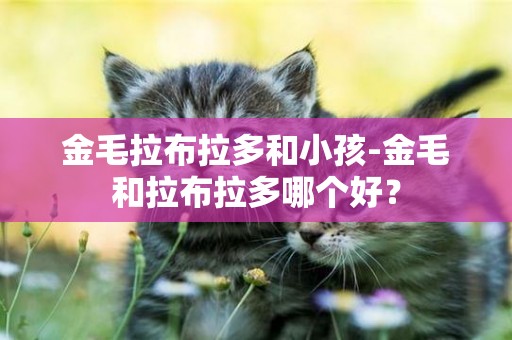 金毛拉布拉多和小孩-金毛和拉布拉多哪個好？