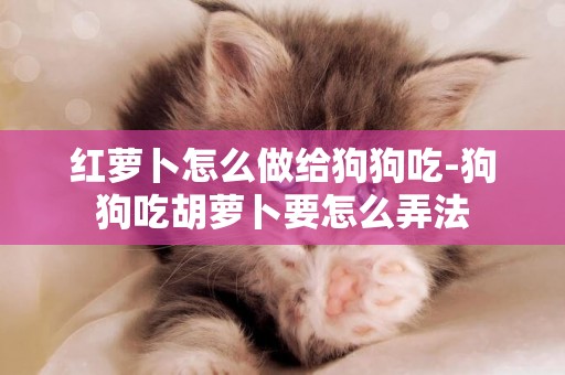 紅蘿卜怎么做給狗狗吃-狗狗吃胡蘿卜要怎么弄法