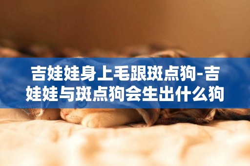 吉娃娃身上毛跟斑點狗-吉娃娃與斑點狗會生出什么狗崽？