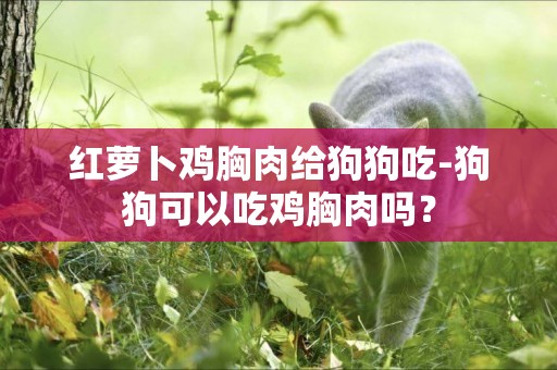 紅蘿卜雞胸肉給狗狗吃-狗狗可以吃雞胸肉嗎？