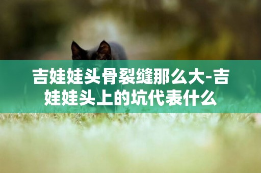吉娃娃頭骨裂縫那么大-吉娃娃頭上的坑代表什么