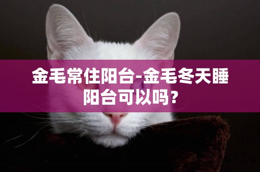 金毛常住陽臺-金毛冬天睡陽臺可以嗎？