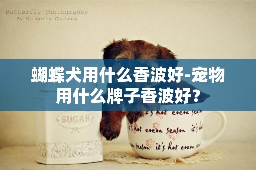 蝴蝶犬用什么香波好-寵物用什么牌子香波好？