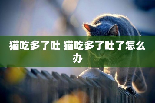貓吃多了吐 貓吃多了吐了怎么辦