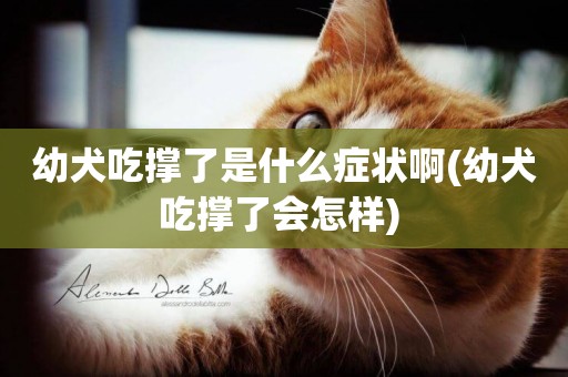 幼犬吃撐了是什么癥狀啊(幼犬吃撐了會怎樣) 
