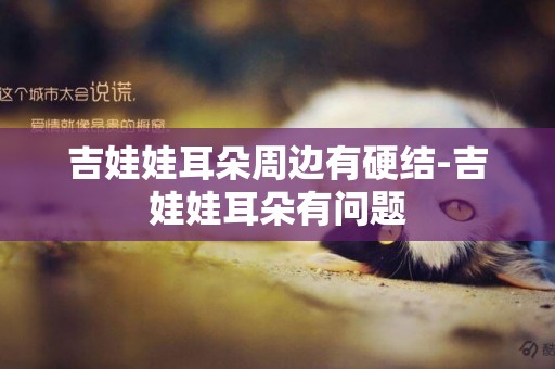 吉娃娃耳朵周邊有硬結-吉娃娃耳朵有問題