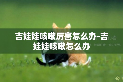吉娃娃咳嗽厲害怎么辦-吉娃娃咳嗽怎么辦