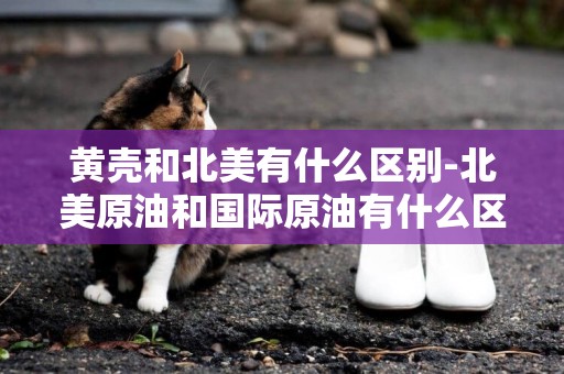 黃殼和北美有什么區別-北美原油和國際原油有什么區別