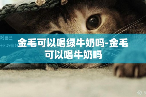 金毛可以喝綠牛奶嗎-金毛可以喝牛奶嗎