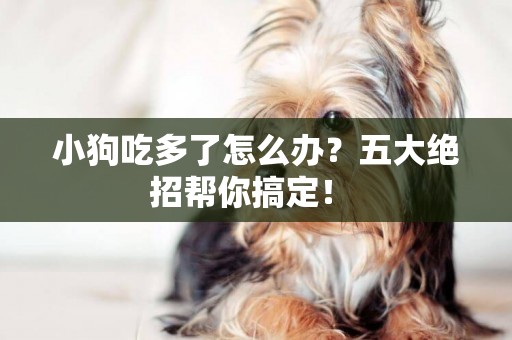 小狗吃多了怎么辦？五大絕招幫你搞定！ 