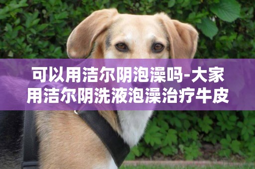 可以用潔爾陰泡澡嗎-大家用潔爾陰洗液泡澡治療牛皮癬效果怎么樣