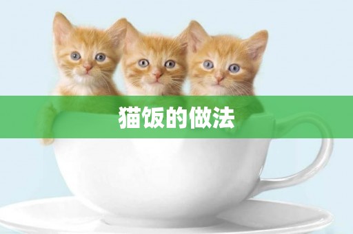 貓飯的做法