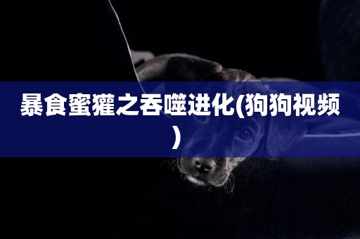 暴食蜜獾之吞噬進化(狗狗視頻) 