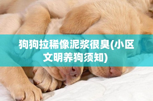 狗狗拉稀像泥漿很臭(小區文明養狗須知) 