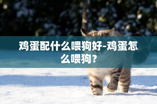 雞蛋配什么喂狗好-雞蛋怎么喂狗？