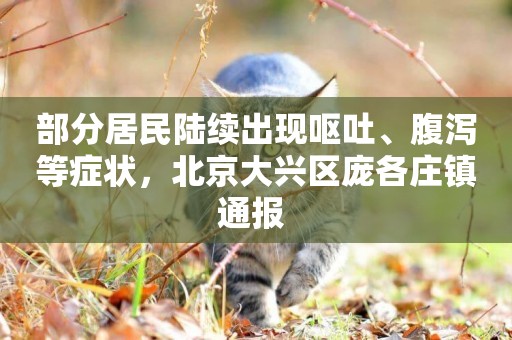 部分居民陸續出現嘔吐、腹瀉等癥狀，北京大興區龐各莊鎮通報 