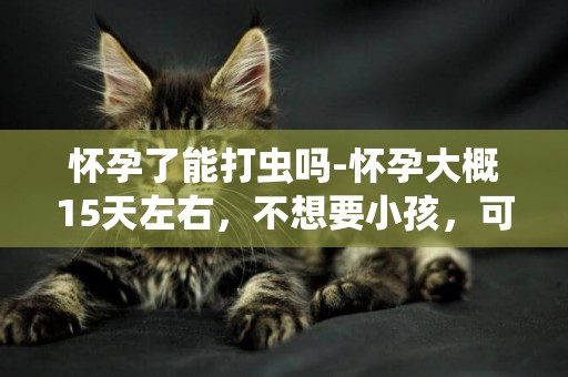 懷孕了能打蟲嗎-懷孕大概15天左右，不想要小孩，可以吃打蟲藥嗎？