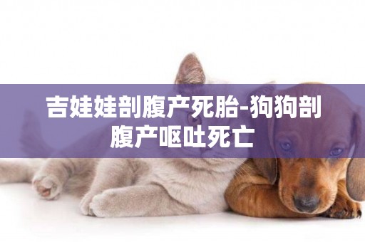 吉娃娃剖腹產死胎-狗狗剖腹產嘔吐死亡