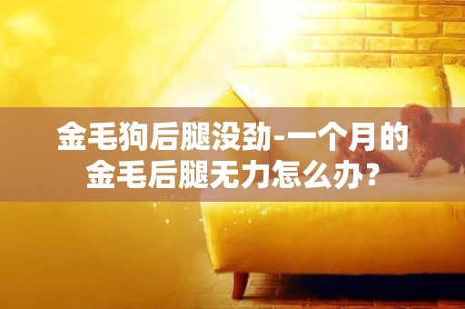 金毛狗后腿沒勁-一個月的金毛后腿無力怎么辦？