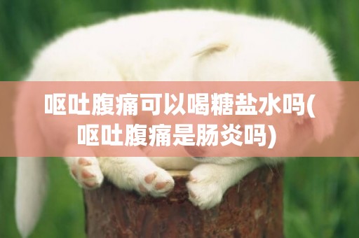 嘔吐腹痛可以喝糖鹽水嗎(嘔吐腹痛是腸炎嗎) 