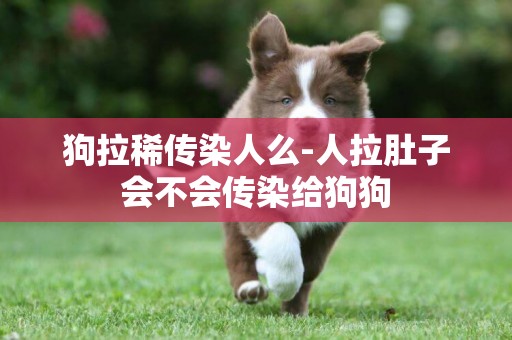 狗拉稀傳染人么-人拉肚子會不會傳染給狗狗