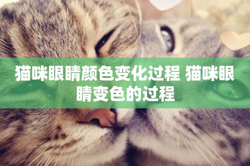 貓咪眼睛顏色變化過程 貓咪眼睛變色的過程