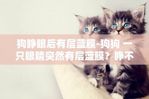 狗睜眼后有層藍膜-狗狗 一只眼睛突然有層藍膜？睜不開？怎么辦 前幾天就發現眼睛有點 半睜的狀態，當然