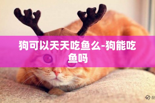 狗可以天天吃魚么-狗能吃魚嗎