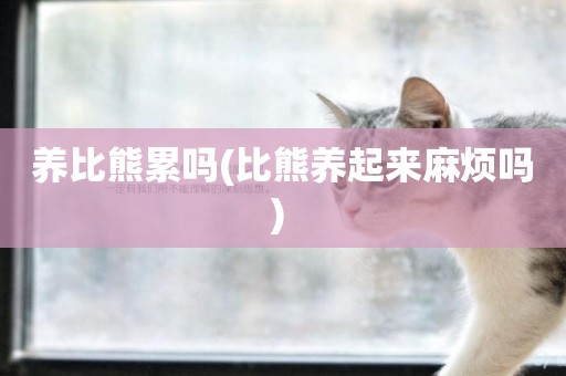 養比熊累嗎(比熊養起來麻煩嗎) 