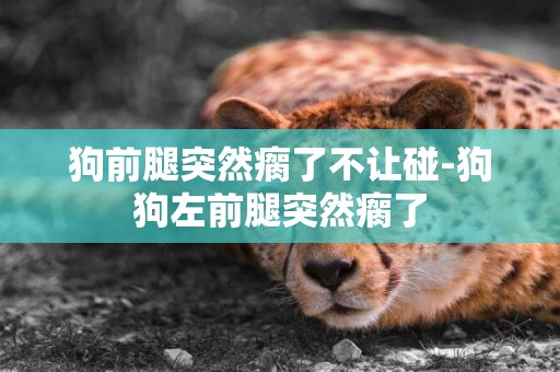 狗前腿突然瘸了不讓碰-狗狗左前腿突然瘸了