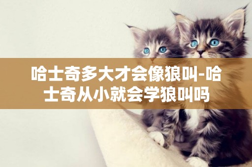 哈士奇多大才會像狼叫-哈士奇從小就會學狼叫嗎
