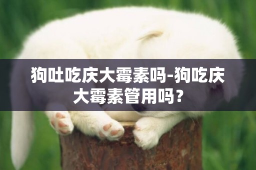 狗吐吃慶大霉素嗎-狗吃慶大霉素管用嗎？