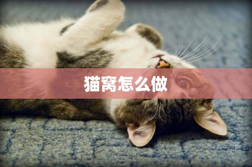 貓窩怎么做