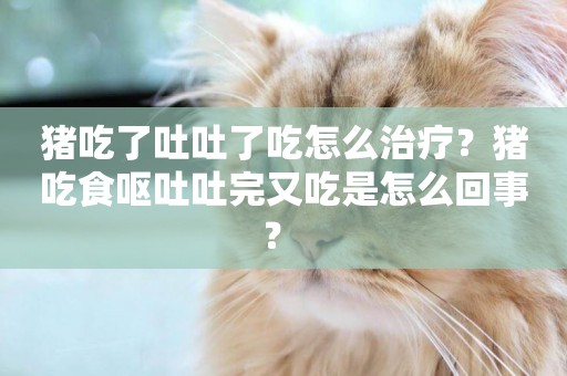 豬吃了吐吐了吃怎么治療？豬吃食嘔吐吐完又吃是怎么回事？ 