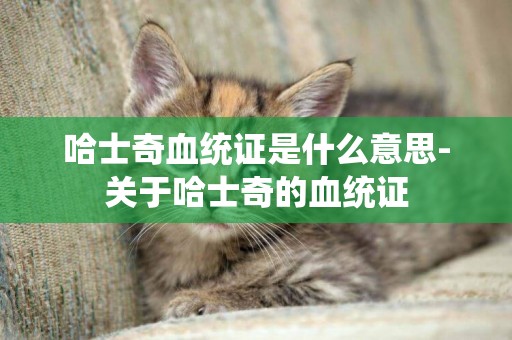 哈士奇血統證是什么意思-關于哈士奇的血統證