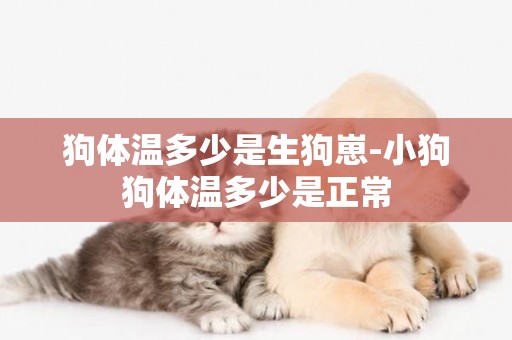 狗體溫多少是生狗崽-小狗狗體溫多少是正常