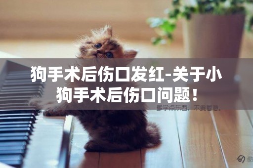狗手術后傷口發紅-關于小狗手術后傷口問題！
