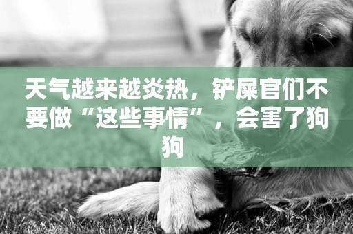 天氣越來越炎熱，鏟屎官們不要做“這些事情”，會害了狗狗 