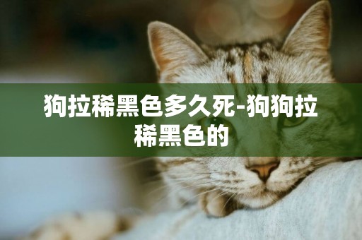 狗拉稀黑色多久死-狗狗拉稀黑色的