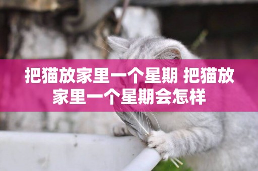把貓放家里一個星期 把貓放家里一個星期會怎樣