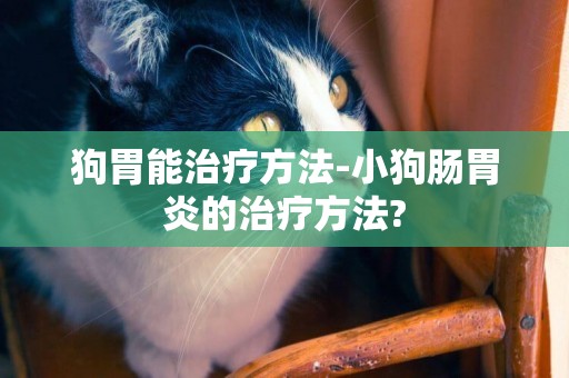 狗胃能治療方法-小狗腸胃炎的治療方法?