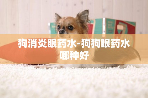 狗消炎眼藥水-狗狗眼藥水哪種好