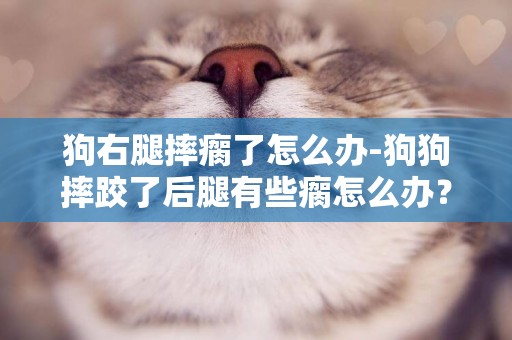 狗右腿摔瘸了怎么辦-狗狗摔跤了后腿有些瘸怎么辦？